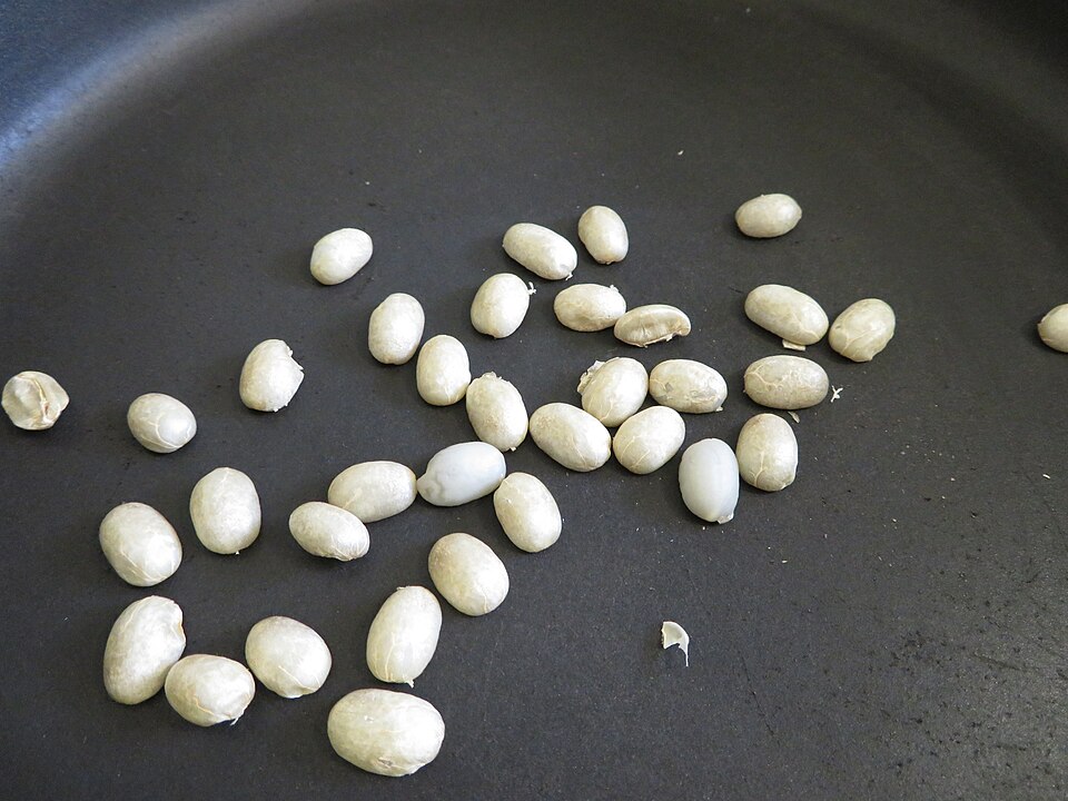 New Study Discovers Universal Color Curve for Arabica Coffee Roasting