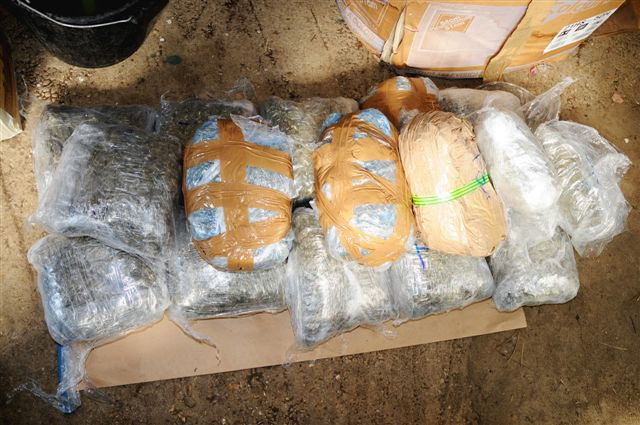 CBSA Seizes $437K in Cocaine Hidden in Shoes at Pearson Airport