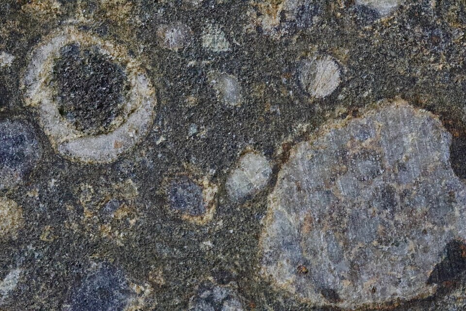 Decoding Asteroid Origins: The Role of Amino Acids in Chondrites