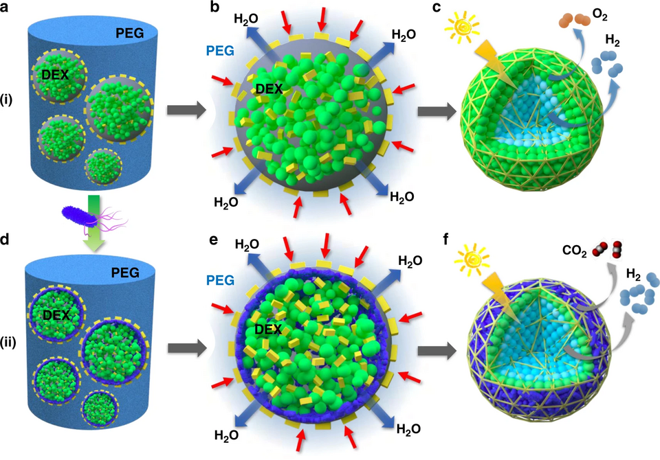 Hanyang University Unveils Revolutionary Catalyst for Affordable Green Hydrogen