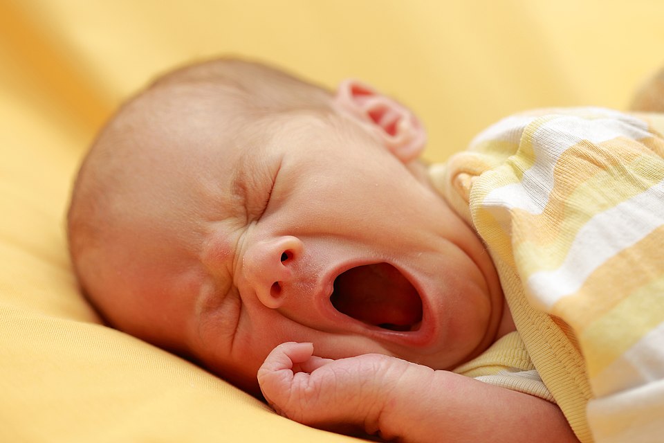 Innovative Device BLIPI Transforms Newborn Immune Function Profiling