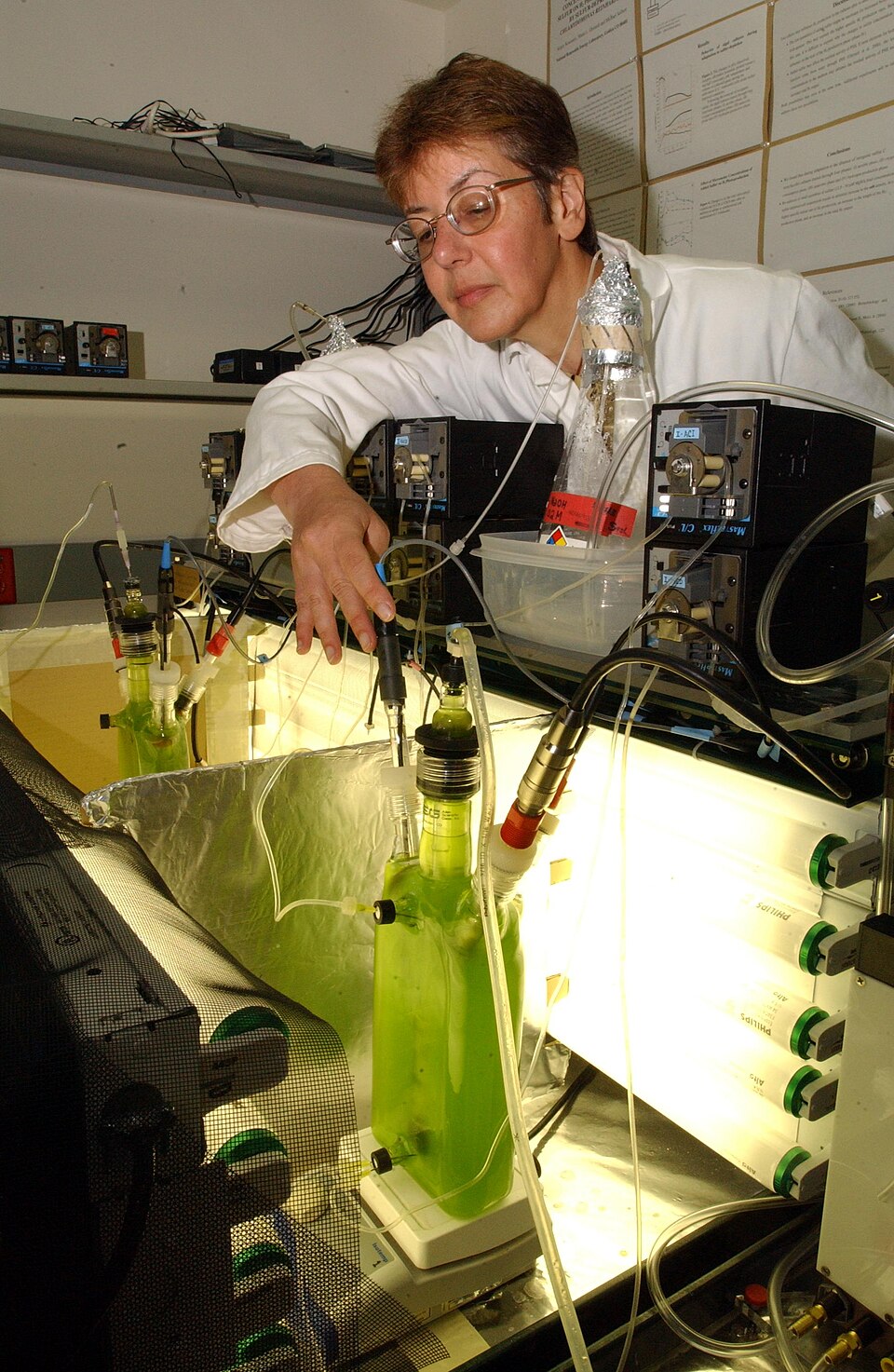 Breakthrough in Low-Cost Green Hydrogen Production by Korean Researchers