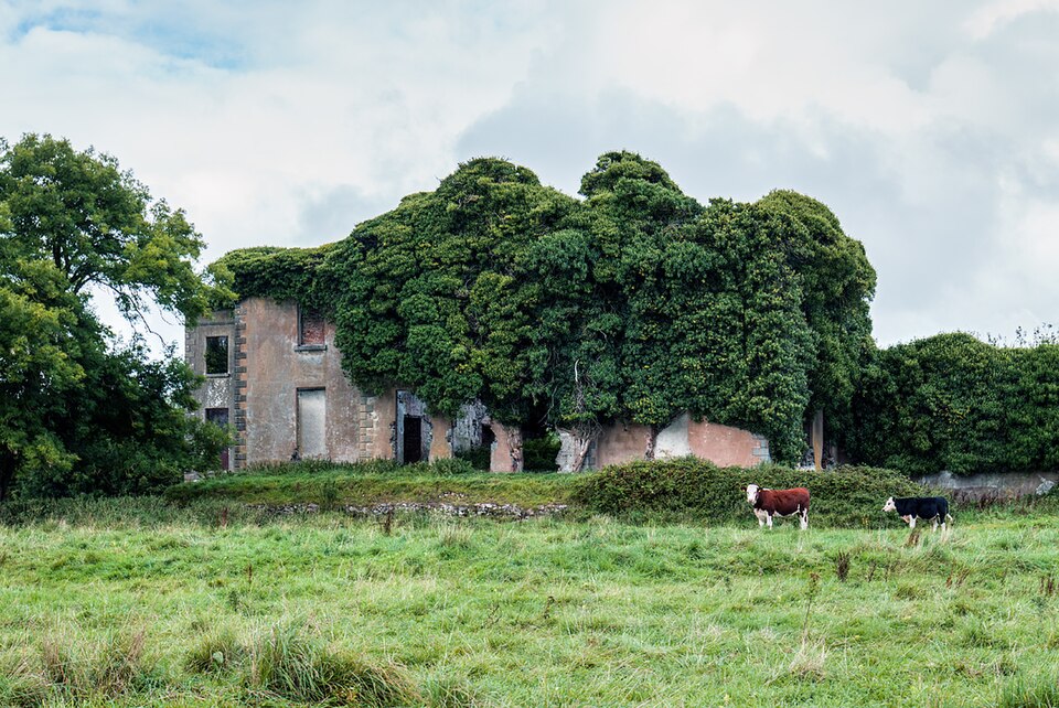 Limerick's Vibrant Weekend Scene Captured in Latest Photo Gallery