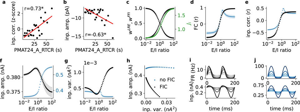 New Study Reveals Neural Synchrony Enhances Cognitive Abilities