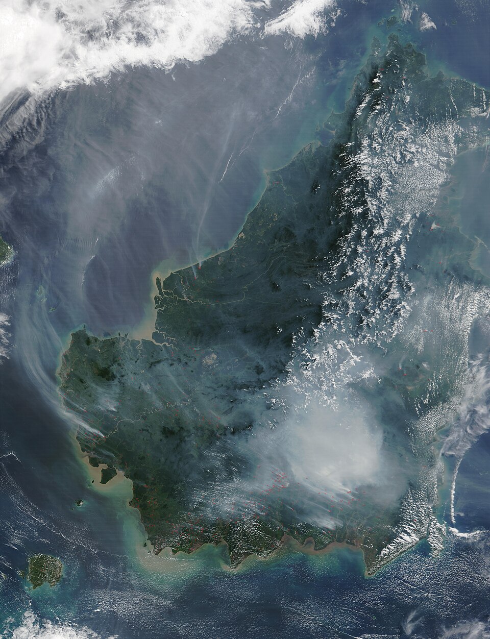Impact of Forest Fire Smoke on Ocean Life: Benefits and Costs