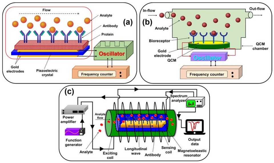 Breakthrough in Quantum Physics: Magnetoelastic Coupling Confirmed After 100 Years