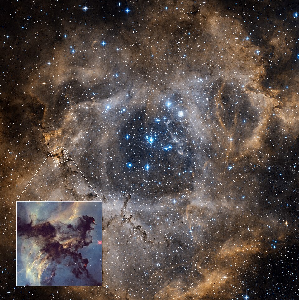 NASA Unveils Stunning Rosette Nebula Image as Astronomy Picture of the Day