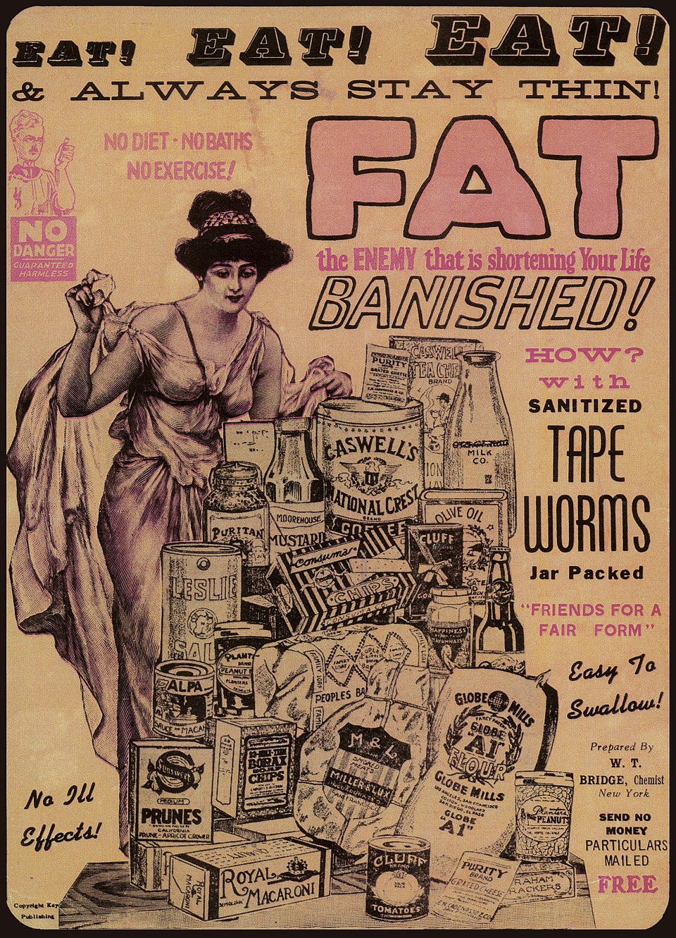 Surge in U.S. Demand for Weight Loss Drugs Boosts Irish Exports