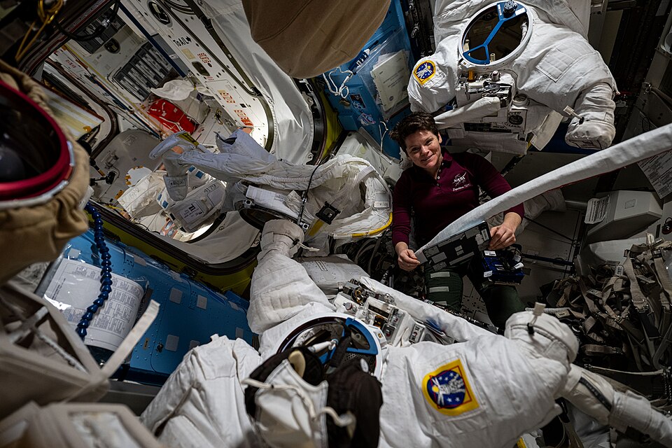 NASA Astronaut Captures Stunning Pink Auroras from ISS