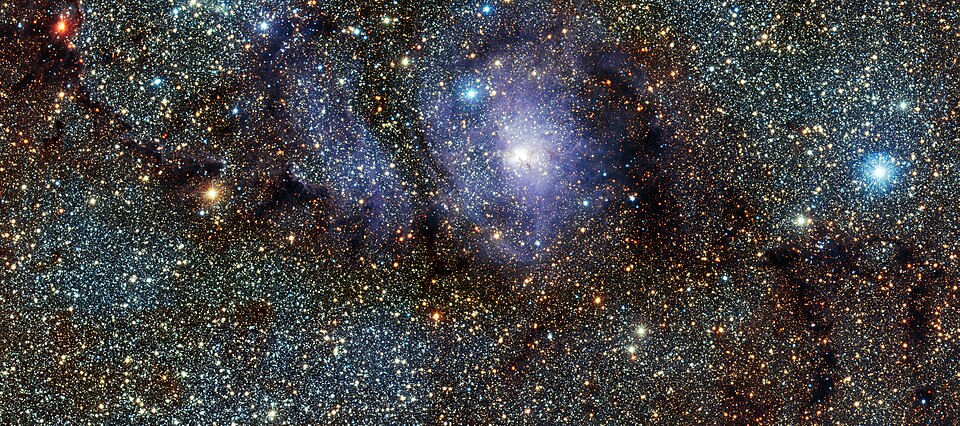 Mid-Infrared Spectroscopy of Polycyclic Aromatic Hydrocarbons in Herbig Ae/Be Stars
