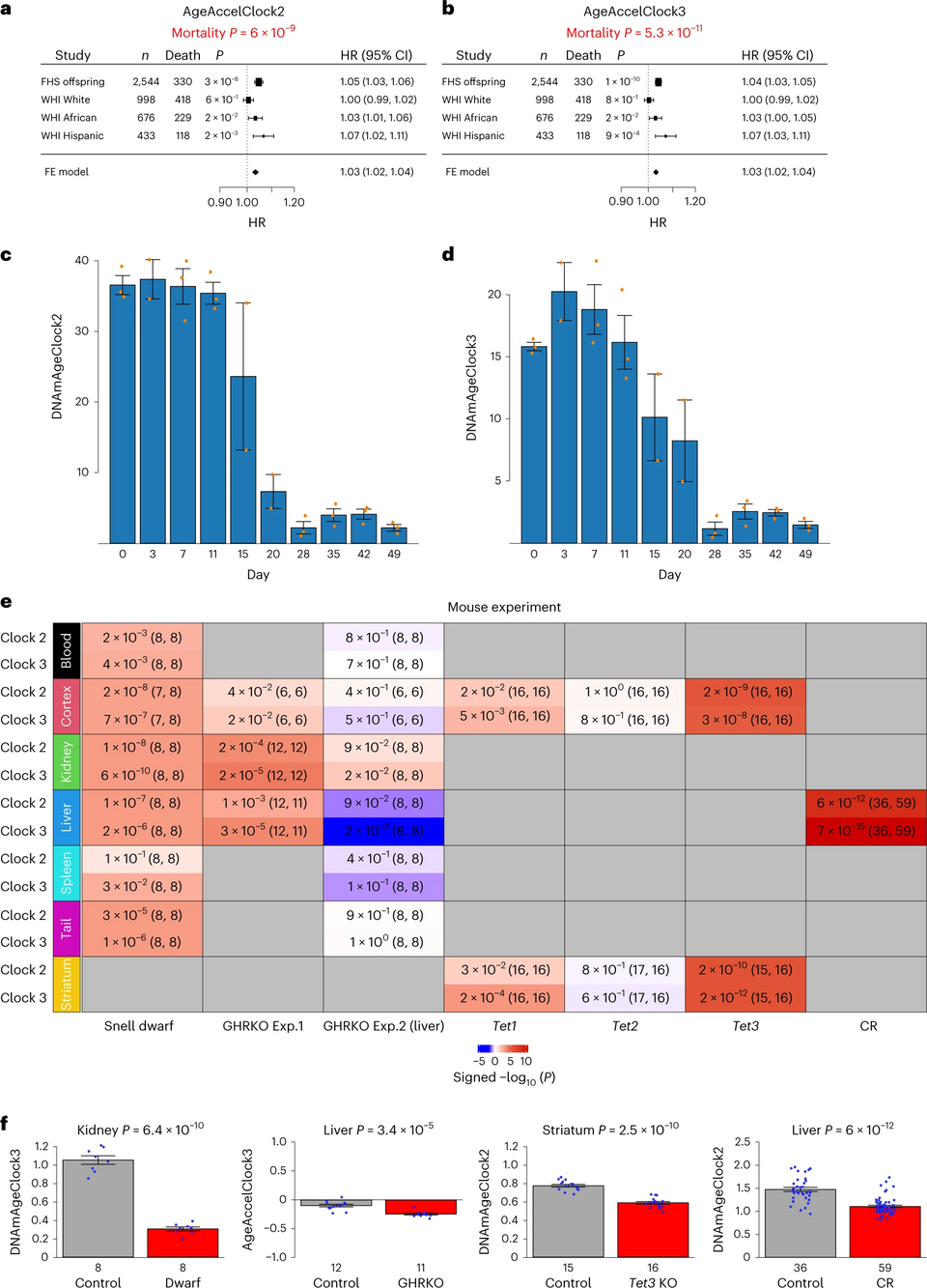 Epigenetic Clocks: Innovations, Challenges, and Future Prospects
