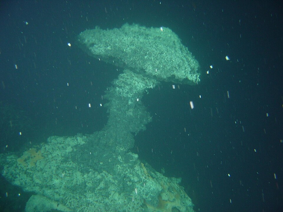Novel Insights into Marine Snow Physics from Brown University Research